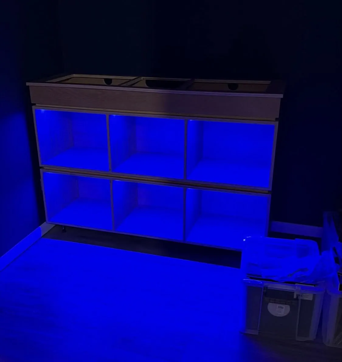 Shelving lit with blue LED strip lighting